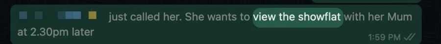 Chat note: just called her, she wants to view the showflat with her mum